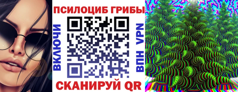 Галлюциногенные грибы GOLDEN TEACHER  цены   Жуковский 