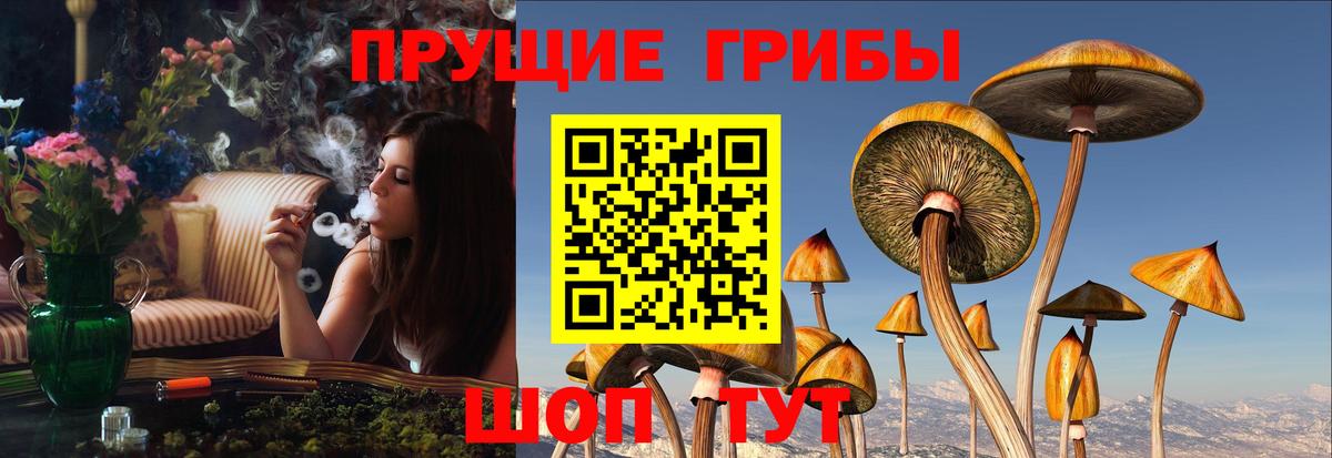 Галлюциногенные грибы Cubensis  Вход с VPN  Жуковский 